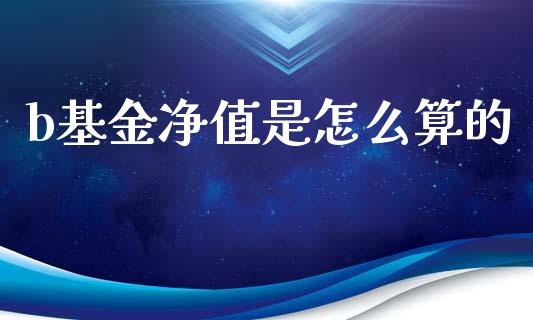 b基金净值是怎么算的_https://www.apanben.com_股市分析_第1张