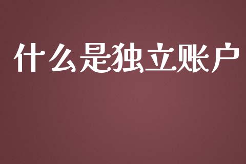 什么是独立账户_https://www.apanben.com_在线喊单_第1张