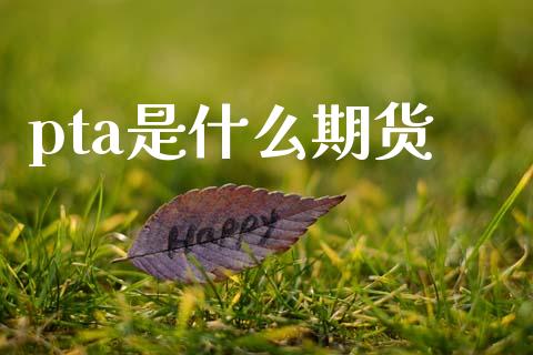 pta是什么期货_https://www.apanben.com_在线喊单_第1张