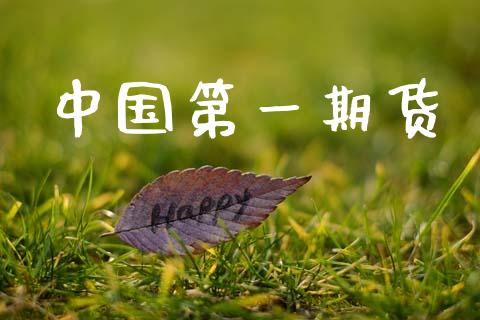 中国第一期货_https://www.apanben.com_股市分析_第1张