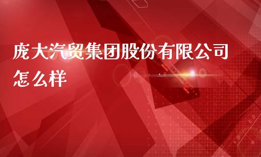庞大汽贸集团股份有限公司怎么样_https://www.apanben.com_国际财经_第1张