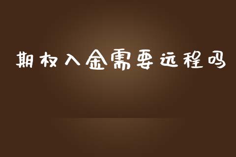 期权入金需要远程吗_https://www.apanben.com_股市分析_第1张