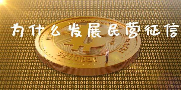 为什么发展民营征信_https://www.apanben.com_国际期货_第1张