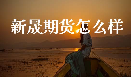 新晟期货怎么样_https://www.apanben.com_国际财经_第1张