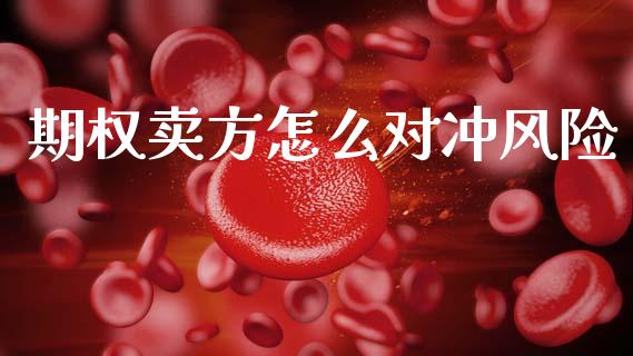 期权卖方怎么对冲风险_https://www.apanben.com_财经资讯_第1张