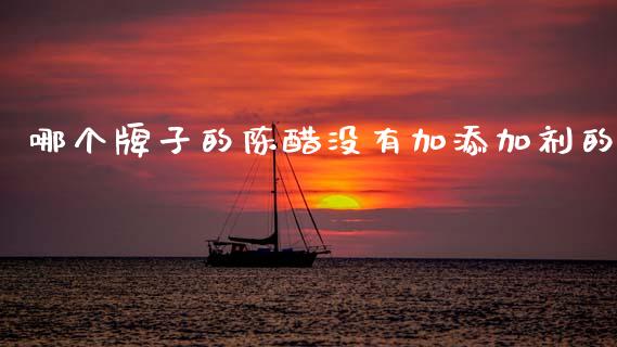 哪个牌子的陈醋没有加添加剂的_https://www.apanben.com_期货学院_第1张