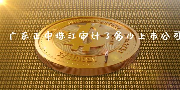 广东正中珠江审计了多少上市公司_https://www.apanben.com_期货学院_第1张