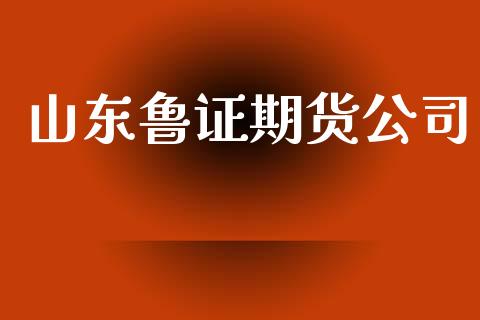 山东鲁证期货公司_https://www.apanben.com_期货学院_第1张