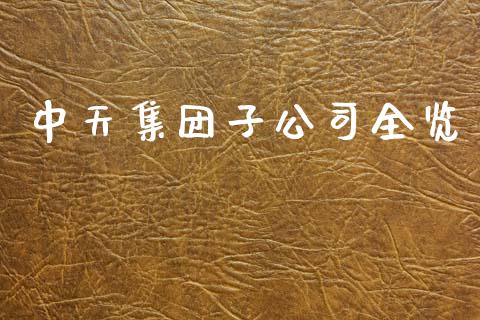 中天集团子公司全览_https://www.apanben.com_财经资讯_第1张