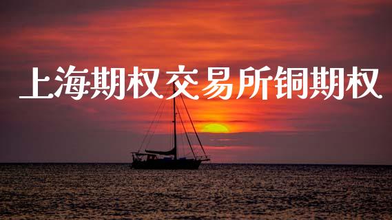 上海期权交易所铜期权_https://www.apanben.com_股市分析_第1张