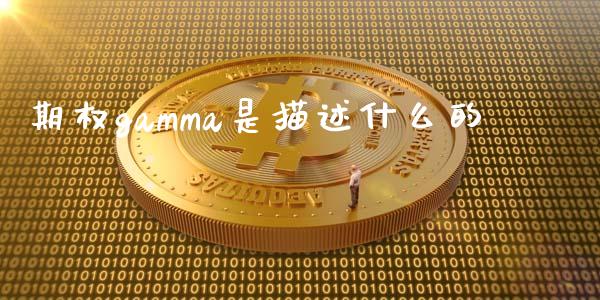 期权gamma是描述什么的_https://www.apanben.com_在线喊单_第1张
