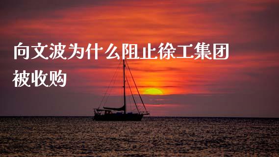 向文波为什么阻止徐工集团被收购_https://www.apanben.com_期货学院_第1张