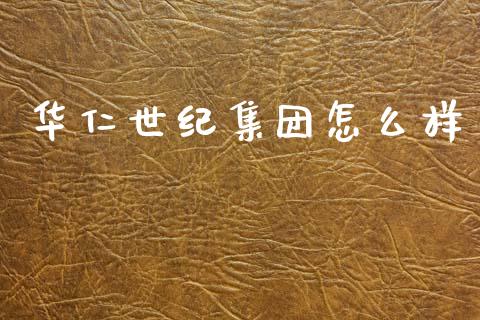 华仁世纪集团怎么样_https://www.apanben.com_财经资讯_第1张