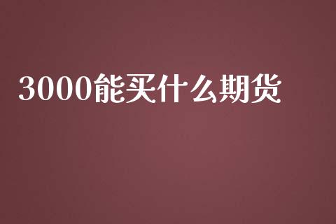 3000能买什么期货_https://www.apanben.com_股市分析_第1张