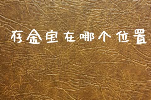 存金宝在哪个位置_https://www.apanben.com_国际期货_第1张