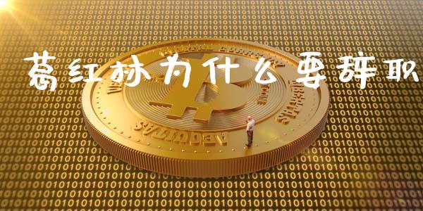 葛红林为什么要辞职_https://www.apanben.com_在线喊单_第1张
