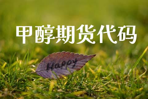 甲醇期货代码_https://www.apanben.com_在线喊单_第1张