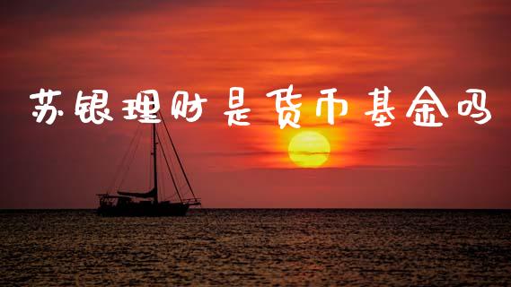 苏银理财是货币基金吗_https://www.apanben.com_财经资讯_第1张