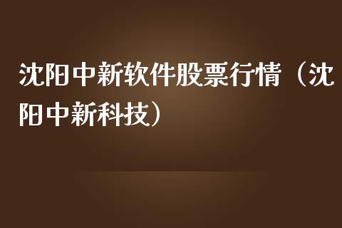 沈阳中新软件股票行情（沈阳中新科技）_https://www.apanben.com_股市分析_第1张