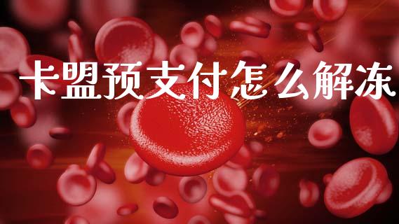卡盟预支付怎么解冻_https://www.apanben.com_股市分析_第1张