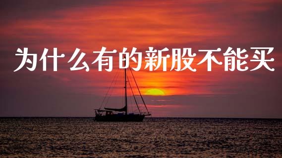 为什么有的新股不能买_https://www.apanben.com_股市指导_第1张