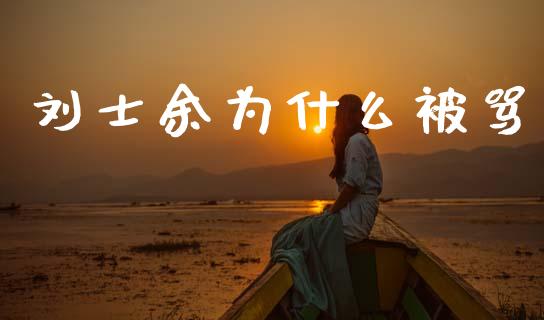 刘士余为什么被骂_https://www.apanben.com_股市指导_第1张