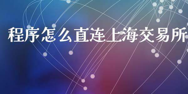 程序怎么直连上海交易所_https://www.apanben.com_在线喊单_第1张