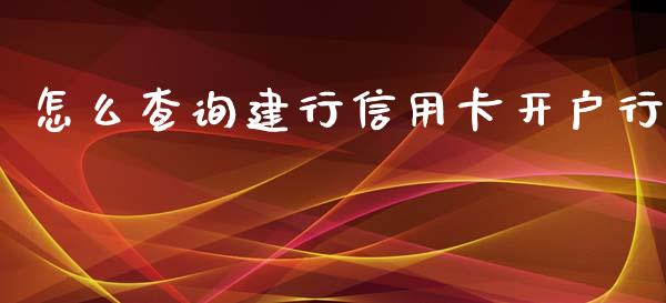 怎么查询建行信用卡开户行_https://www.apanben.com_期货学院_第1张