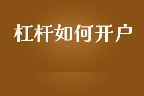 杠杆如何开户_https://www.apanben.com_在线喊单_第1张
