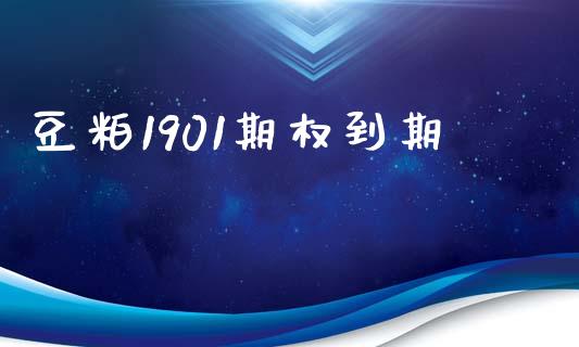 豆粕1901期权到期_https://www.apanben.com_国际期货_第1张