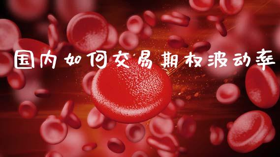 国内如何交易期权波动率_https://www.apanben.com_股票怎么玩_第1张