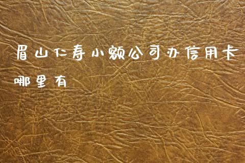 眉山仁寿小额公司办信用卡哪里有_https://www.apanben.com_股市分析_第1张