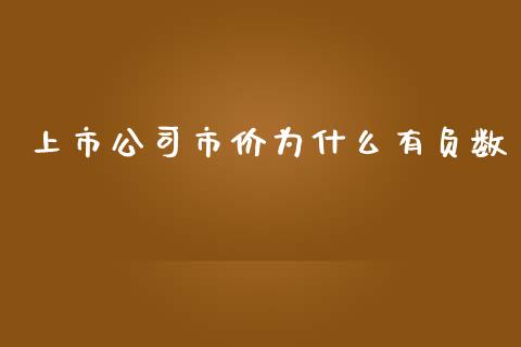 上市公司市价为什么有负数_https://www.apanben.com_期货学院_第1张