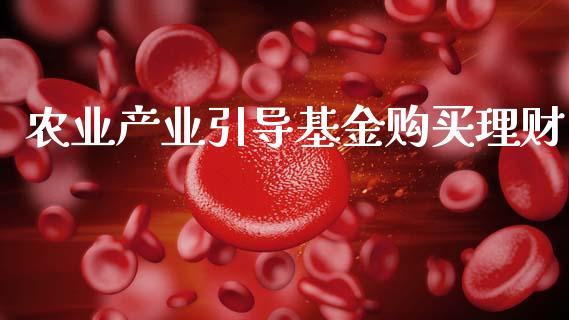 农业产业引导基金购买理财_https://www.apanben.com_国际财经_第1张