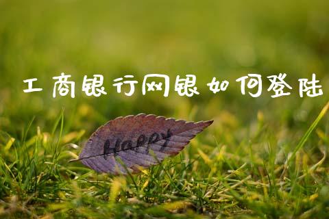工商银行网银如何登陆_https://www.apanben.com_国际财经_第1张