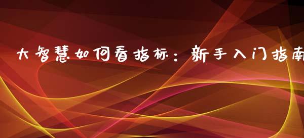 大智慧如何看指标：新手入门指南_https://www.apanben.com_股票怎么玩_第1张