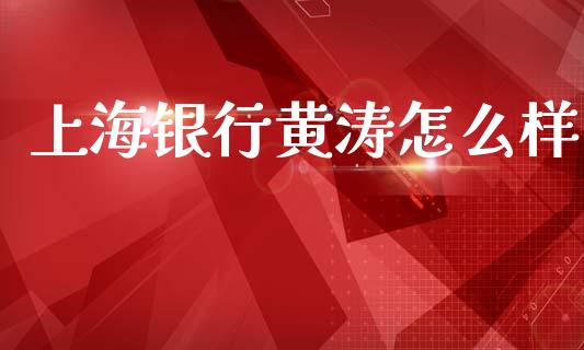 上海银行黄涛怎么样_https://www.apanben.com_国际财经_第1张