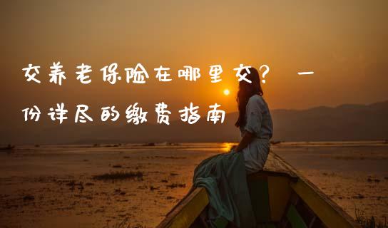 交养老保险在哪里交？ 一份详尽的缴费指南_https://www.apanben.com_国际期货_第1张
