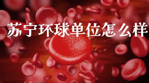 苏宁环球单位怎么样_https://www.apanben.com_期货学院_第1张