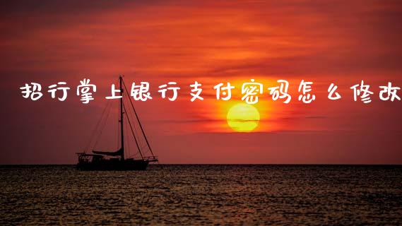 招行掌上银行支付密码怎么修改_https://www.apanben.com_期货学院_第1张