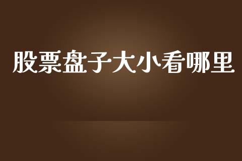 股票盘子大小看哪里_https://www.apanben.com_国际期货_第1张