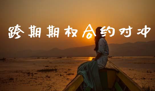 跨期期权合约对冲_https://www.apanben.com_期货学院_第1张
