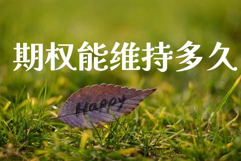 期权能维持多久_https://www.apanben.com_股市指导_第1张
