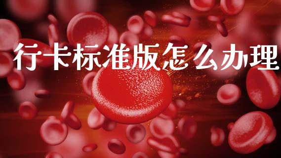 行卡标准版怎么办理_https://www.apanben.com_期货学院_第1张