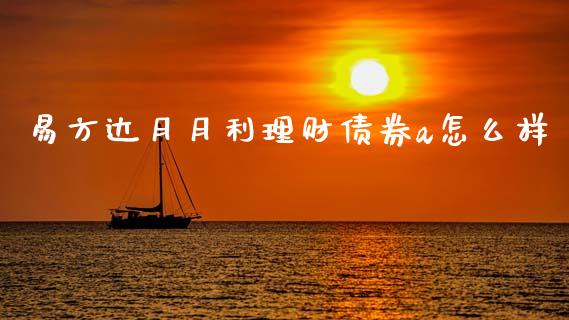 易方达月月利理财债券a怎么样_https://www.apanben.com_在线喊单_第1张