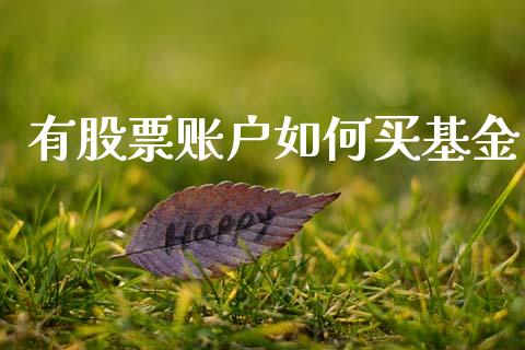 有股票账户如何买基金_https://www.apanben.com_股市分析_第1张