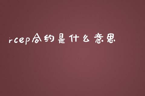 rcep合约是什么意思_https://www.apanben.com_财经资讯_第1张