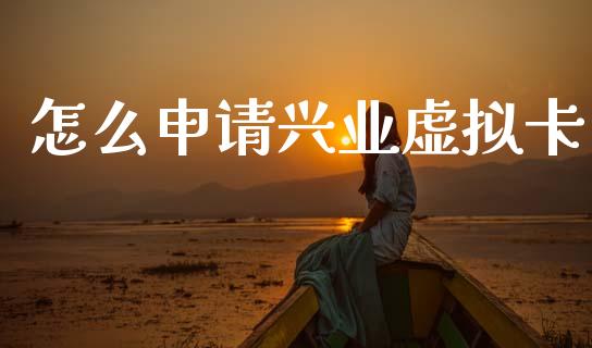 怎么申请兴业虚拟卡_https://www.apanben.com_在线喊单_第1张