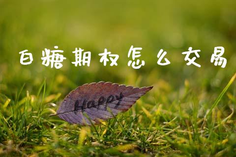 白糖期权怎么交易_https://www.apanben.com_财经资讯_第1张