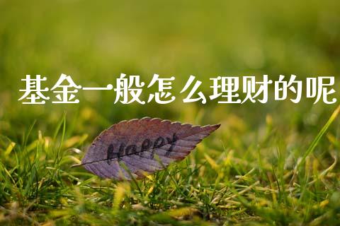 基金一般怎么理财的呢_https://www.apanben.com_国际财经_第1张